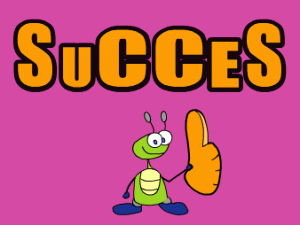 secretele succesului
